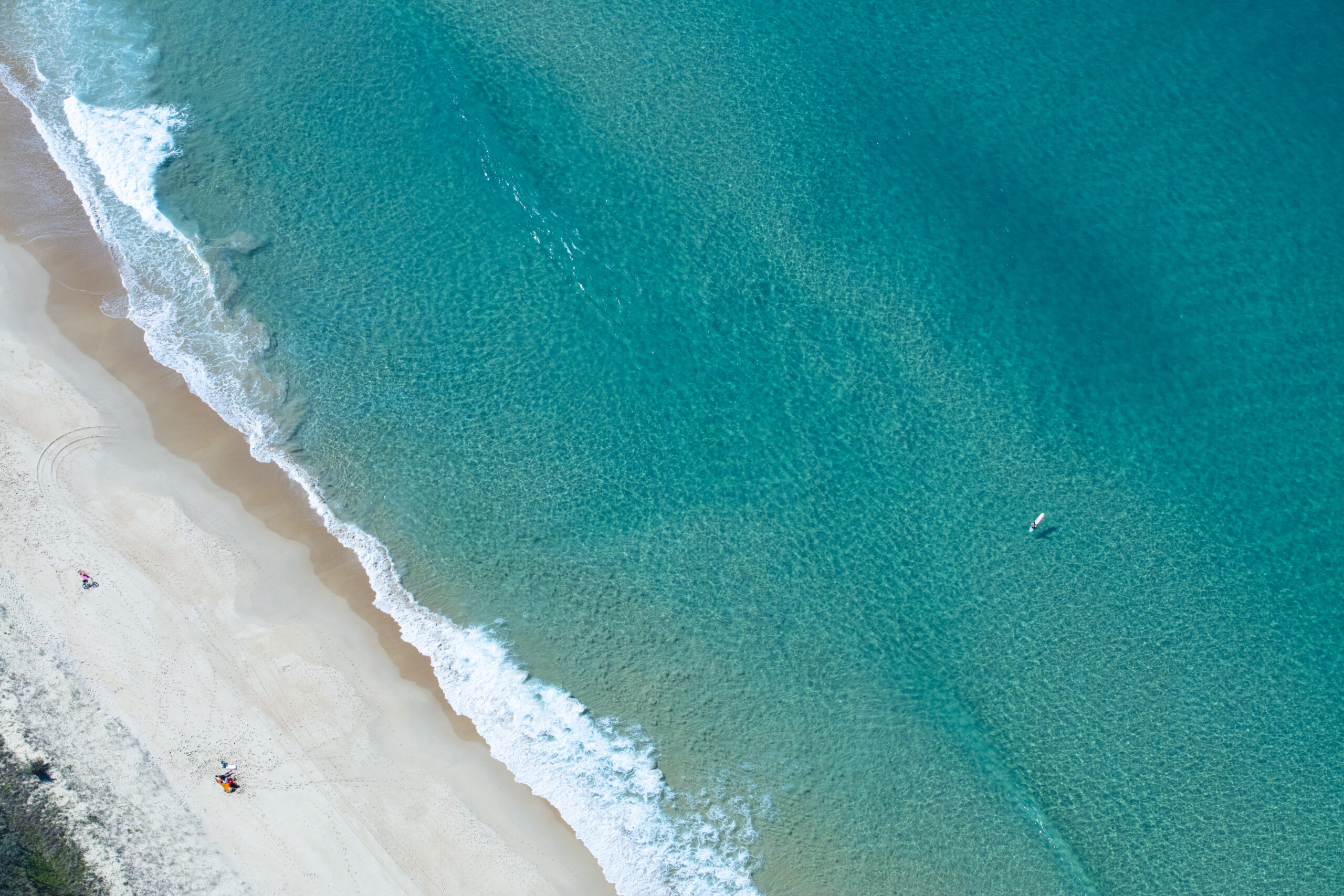 Our Purpose, Vision and Mission